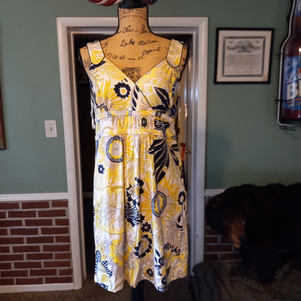 Ann Taylor size 6 dress